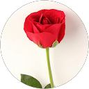 Muskan gupta profile picture
